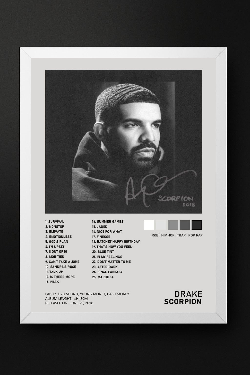 Drake SCORPION Album